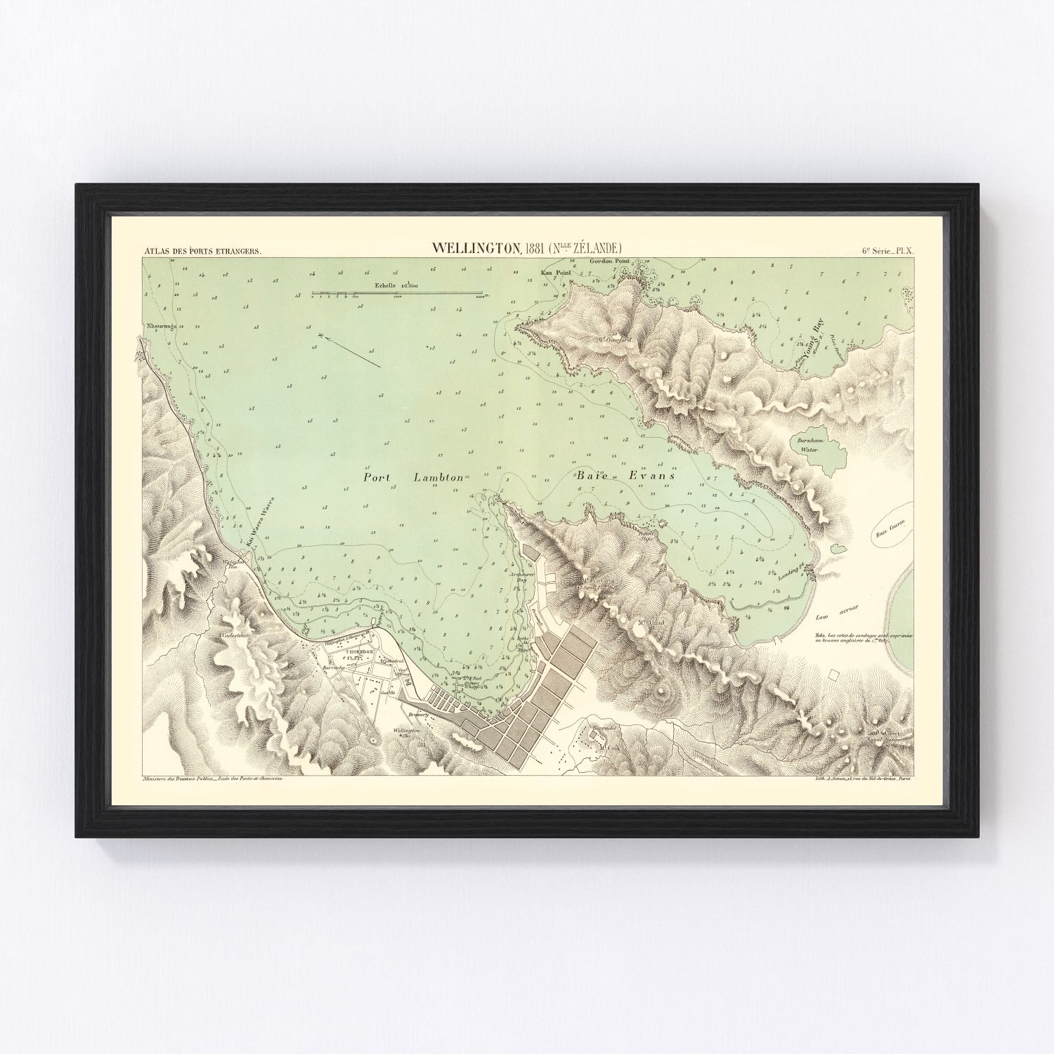 Vintage Map of Wellington, New Zealand 1881
