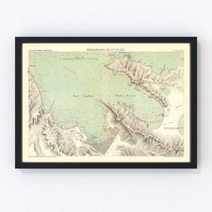 Vintage Map of Wellington, New Zealand 1881