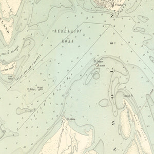 Vintage Map of Charleston, South Carolina 1887