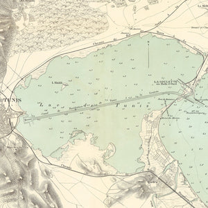 Vintage Map of Tunis, Tunisia 1888