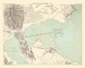Vintage Map of Tunis, Tunisia 1888