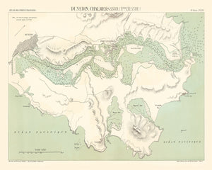 Vintage Map of Dunedin, New Zealand 1889