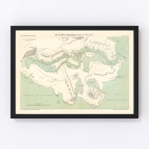 Vintage Map of Dunedin, New Zealand 1889