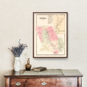 Vintage Map of Nichol's Farms, Connecticut 1867