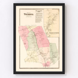 Vintage Map of Nichol's Farms, Connecticut 1867
