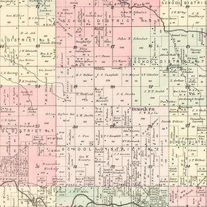 Vintage Map of Madison Township, Jasper County, Missouri 1895