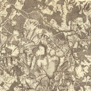 Vintage Map of the Battle of High Bridge & Farmville, 1869