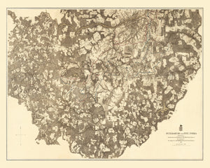 Vintage Map of the Battle of Petersburg & Five Forks, 1869