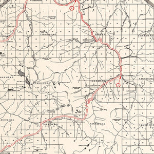 Vintage Map of Alpine County, California 1935