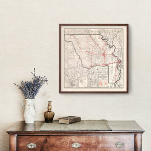 Vintage Map of Yolo County, California 1935