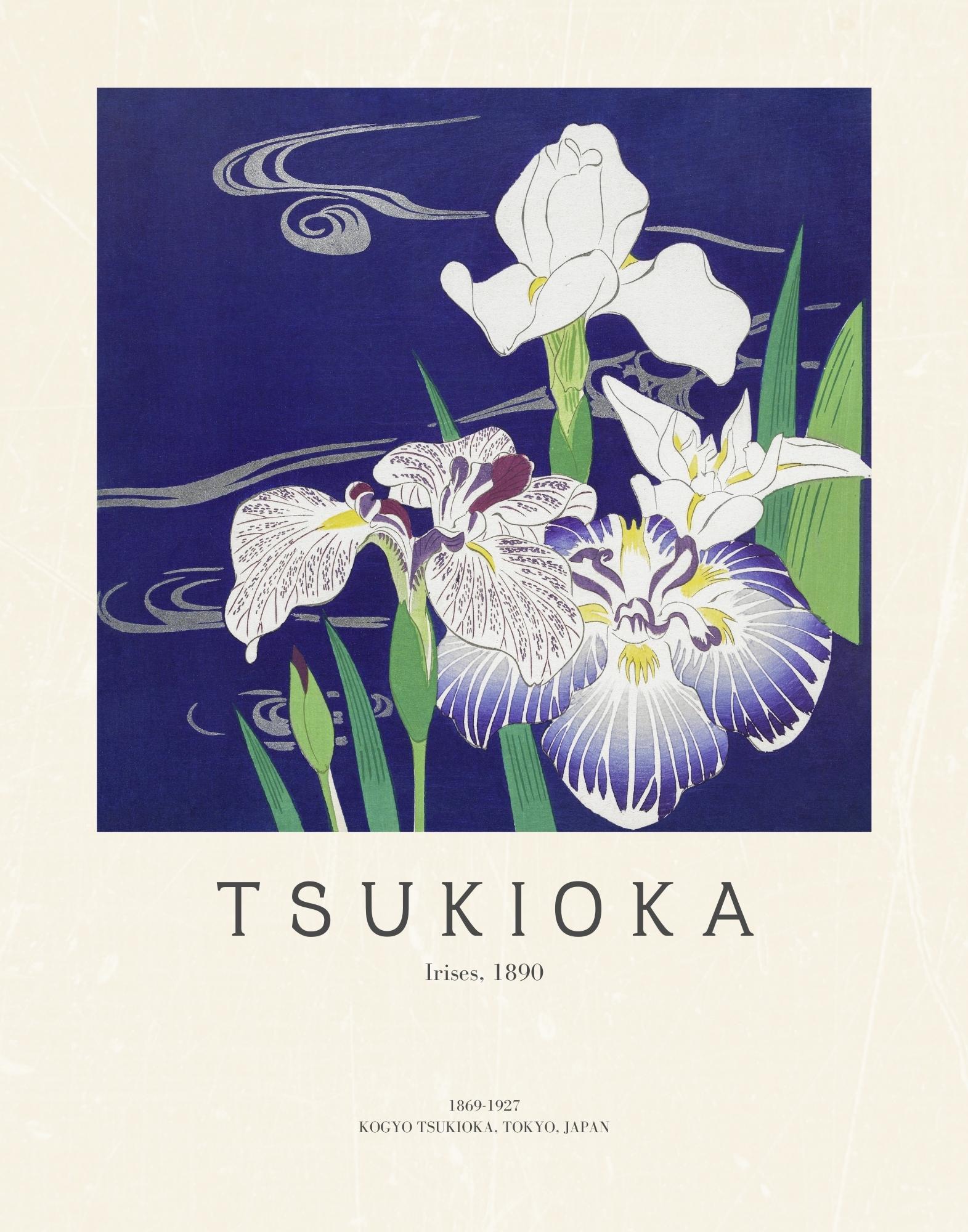 Tsukioka - Irises
