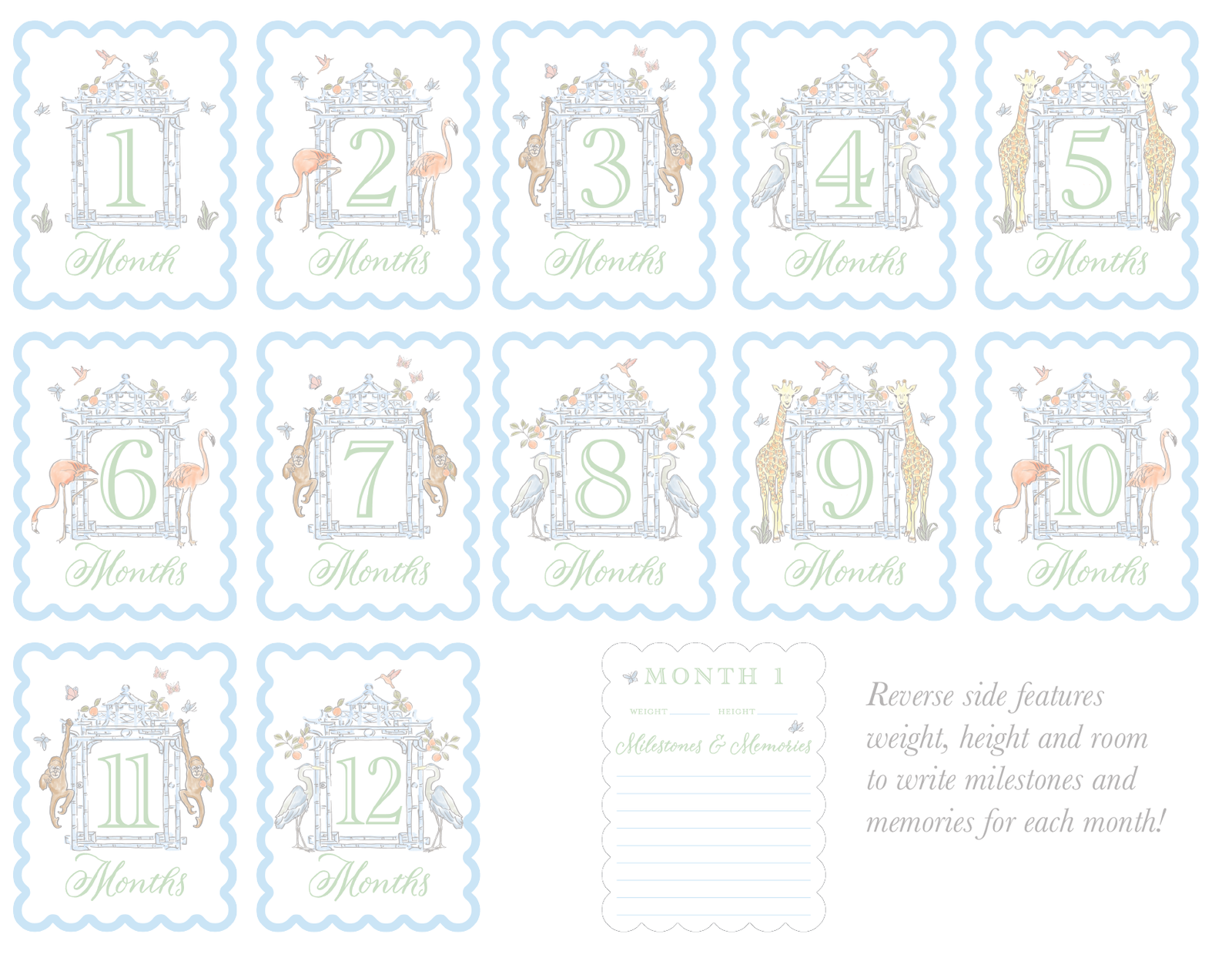 Watercolor Baby Milestone Cards