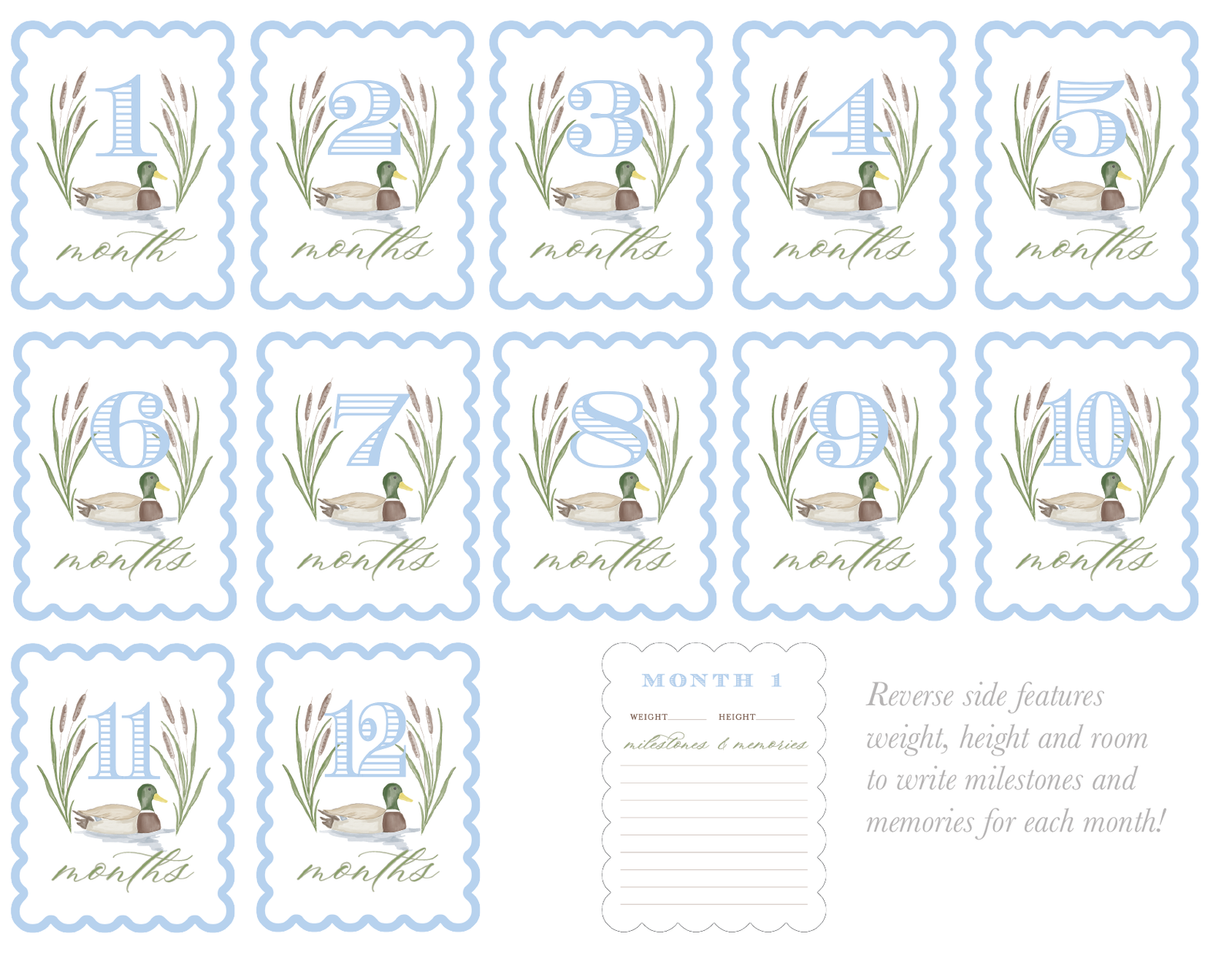 Watercolor Mallard Duck Milestone Cards