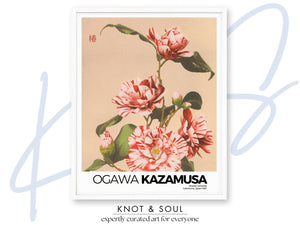 Kazamusa - Camelias