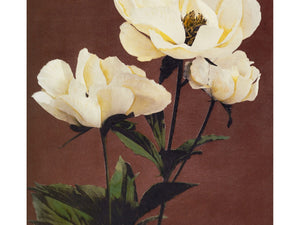 Kazamusa - Peony
