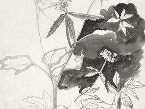 Flower Sketch