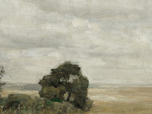 Muted Green Hay Field