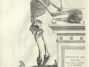 Vesalius - Human Anatomy