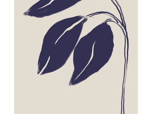 Folding Blue Irises