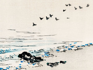 Bairei - Beach Scenery