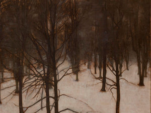 Park in Winter