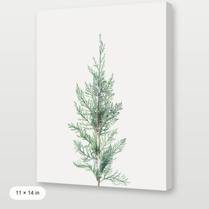 Winter Branch