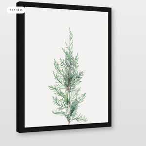 Winter Branch