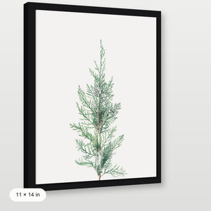 Winter Branch