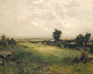 Autumn Landscape