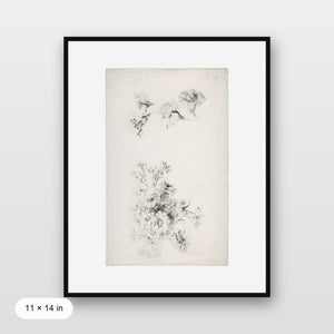 Botanical Parchment