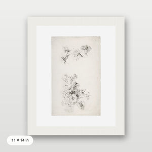 Botanical Parchment
