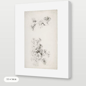 Botanical Parchment