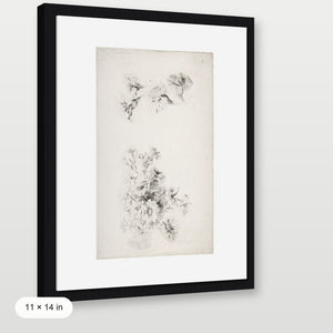 Botanical Parchment