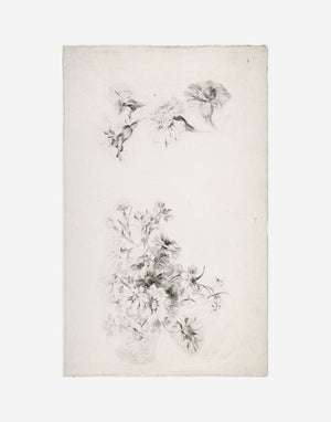 Botanical Parchment