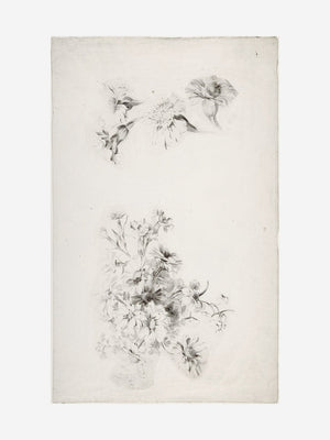 Botanical Parchment