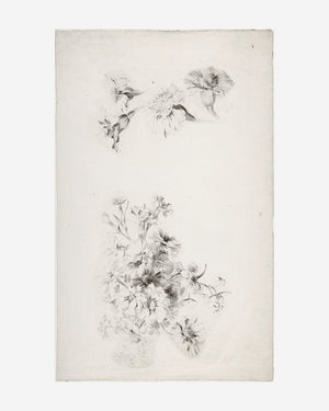 Botanical Parchment