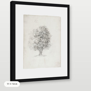 Apple Tree Sketch