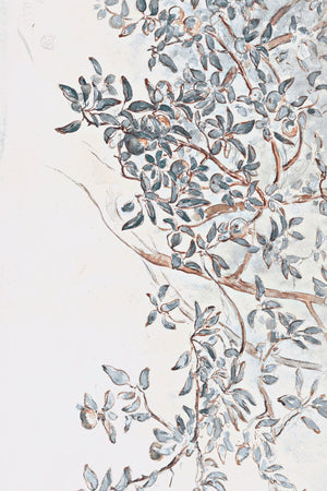Apple Tree Branches