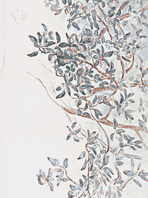 Apple Tree Branches