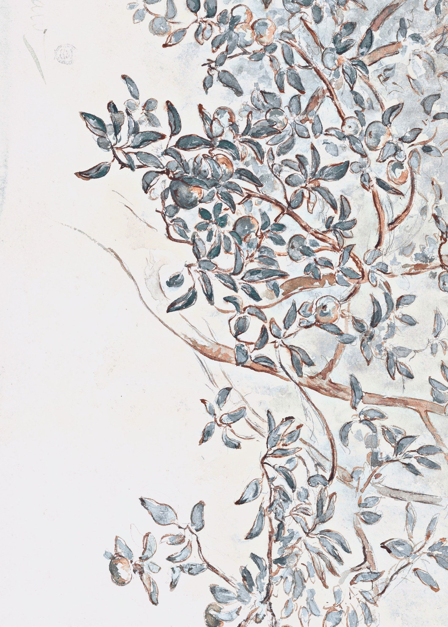 Apple Tree Branches