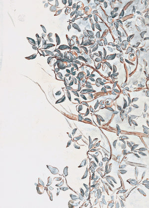 Apple Tree Branches