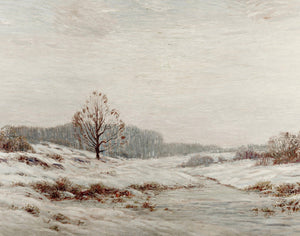 Winter Landscape