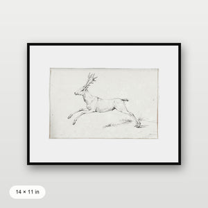 Reindeer Sketch