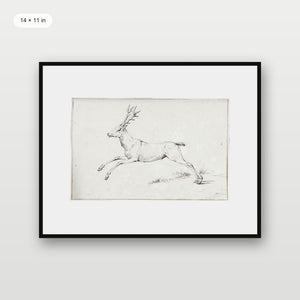 Reindeer Sketch