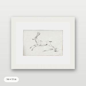 Reindeer Sketch