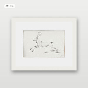 Reindeer Sketch