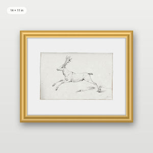 Reindeer Sketch