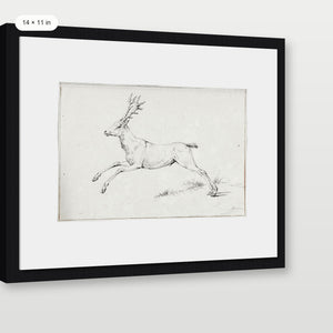 Reindeer Sketch