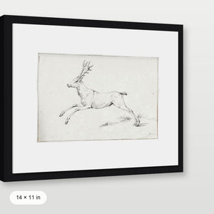 Reindeer Sketch