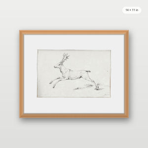 Reindeer Sketch